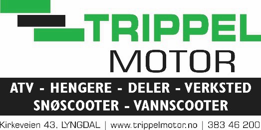 Trippel Motor